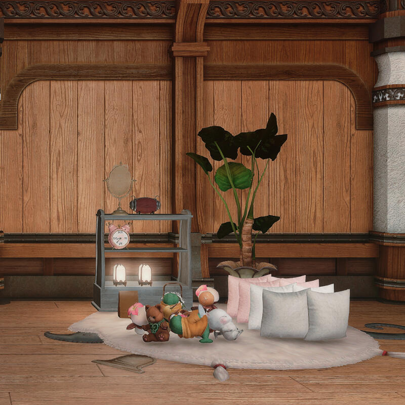 Not this! Don&#39;t put items on carpet or shelves.