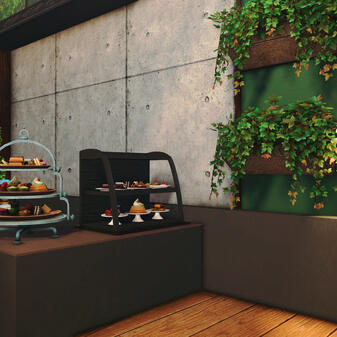 Hedge & Cement Cafe ft. front counter